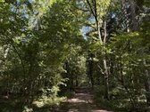 Parduodamas namų valdos sklypas Mažuosiuose - nuotraukos Nr. 12