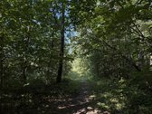 Parduodamas namų valdos sklypas Mažuosiuose - nuotraukos Nr. 14