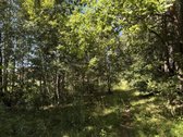 Parduodamas namų valdos sklypas Mažuosiuose - nuotraukos Nr. 15
