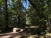 Parduodamas namų valdos sklypas Mažuosiuose - nuotraukos Nr. 19