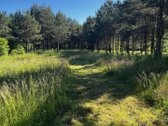 Parduosime sklypo dalį tiems, kurių vertybės - nuotraukos Nr. 10