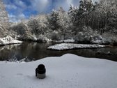Parduosime sklypo dalį tiems, kurių vertybės - nuotraukos Nr. 12