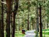 Išnuomojamas Labai Šviesus Ir Jaukus, Naujai - nuotraukos Nr. 17