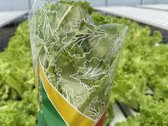 Parduodamas veikiantis verslas „Saulės - nuotraukos Nr. 5