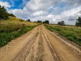 3,10 Ha Sklypas Prie Pakalniškių Ežero – Su - nuotraukos Nr. 7