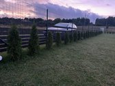 ? Parduodamas 12 a sklypas su 56 m² nebaigtos - nuotraukos Nr. 13