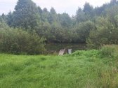 Parduodamas žemės sklypas gamtos apsuptyje, - nuotraukos Nr. 2