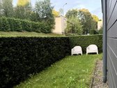 Antakalnyje, V.žalakevičiaus g., - nuotraukos Nr. 13