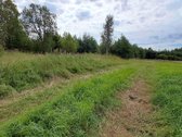 Klaipėdos r. sav., Auksoro k. - nuotraukos Nr. 2
