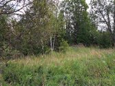 Klaipėdos r. sav., Auksoro k. - nuotraukos Nr. 5