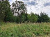 Klaipėdos r. sav., Auksoro k. - nuotraukos Nr. 6