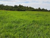 Klaipėdos r. sav., Auksoro k. - nuotraukos Nr. 7