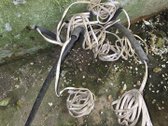 Parduodamas ne baiktas proektas 1 kambario - nuotraukos Nr. 23