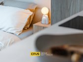 Citus Nidos Bangos – išskirtiniai atostogų - nuotraukos Nr. 7