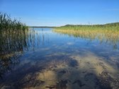 Su sklypu prie ežero, miškų, ežerų, kalvų ir - nuotraukos Nr. 25
