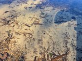 Su sklypu prie ežero, miškų, ežerų, kalvų ir - nuotraukos Nr. 26