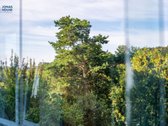 Žaliausiame Vilniaus Mikrorajone, Antakalnyje - nuotraukos Nr. 9