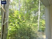 Nuomojamas erdvus 1 kambario butas Vaduvos g. - nuotraukos Nr. 6
