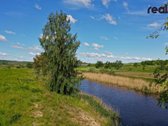 Parduodamas didelis, beveik 1 ha namų valdos - nuotraukos Nr. 4