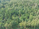 Verta Žinoti - nuotraukos Nr. 34