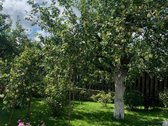 Parduodamas Išskirtinai Erdvus Namas - nuotraukos Nr. 24