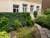 Išskirtinis 3 Kambarių Butas Su Privačiu - nuotraukos Nr. 6