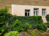 Išskirtinis 3 Kambarių Butas Su Privačiu - nuotraukos Nr. 5