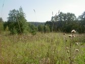 Parduodamas išskirtinis, net 8,4 hektarų - nuotraukos Nr. 13