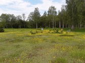 Parduodamas išskirtinis, net 8,4 hektarų - nuotraukos Nr. 16