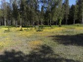 Parduodamas išskirtinis, net 8,4 hektarų - nuotraukos Nr. 17