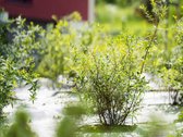 Parduodamas Naujai Įrengtas Funkcionalus 3-jų - nuotraukos Nr. 16