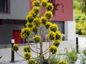 Parduodamas Naujai Įrengtas Funkcionalus 3-jų - nuotraukos Nr. 17