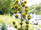 Parduodamas Naujai Įrengtas Funkcionalaus - nuotraukos Nr. 19