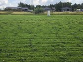 Parduodamas namų valdos 6 a. žemės sklypas - nuotraukos Nr. 9