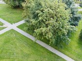 Nuomojame jaukų ir šviesų butą Naujamiestyje - nuotraukos Nr. 18