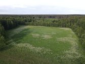Parduodamas 2,36 ha žemės ūkio paskirties - nuotraukos Nr. 4