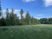 Parduodamas 2,36 ha žemės ūkio paskirties - nuotraukos Nr. 5