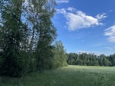 Parduodamas 2,36 ha žemės ūkio paskirties - nuotraukos Nr. 6