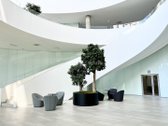 Išnuomojamos 220,64 m² ploto biuro patalpos 3 - nuotraukos Nr. 5
