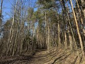 Išskirtinė Privati Rezidencinė Vieta Vilniuje  - nuotraukos Nr. 2