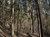 Išskirtinė Privati Rezidencinė Vieta Vilniuje  - nuotraukos Nr. 4