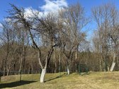 Išskirtinė Privati Rezidencinė Vieta Vilniuje  - nuotraukos Nr. 18