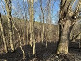 Išskirtinė Privati Rezidencinė Vieta Vilniuje  - nuotraukos Nr. 20