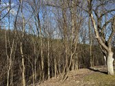 Išskirtinė Privati Rezidencinė Vieta Vilniuje  - nuotraukos Nr. 21