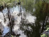 Parduodamas sklypas, kuris ribojasi su Meros - nuotraukos Nr. 3