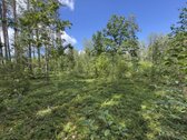 Parduodamas sklypas, kuris ribojasi su Meros - nuotraukos Nr. 4