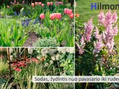 Išskirtinėje Vilniaus Vietoje, Veržuvos - nuotraukos Nr. 31