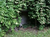 4 pastatų sodyba su dideliu sodu, - nuotraukos Nr. 23