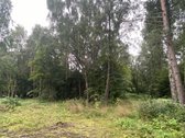 Parduodami devyni pastatai ir treji - nuotraukos Nr. 17