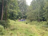Parduodami devyni pastatai ir treji - nuotraukos Nr. 16